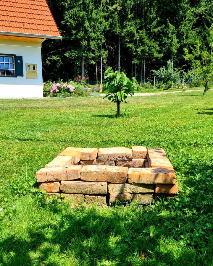 Villa Turisticna Kmetija Hisa Ob Gozdu Pri Ptuju Extérieur photo