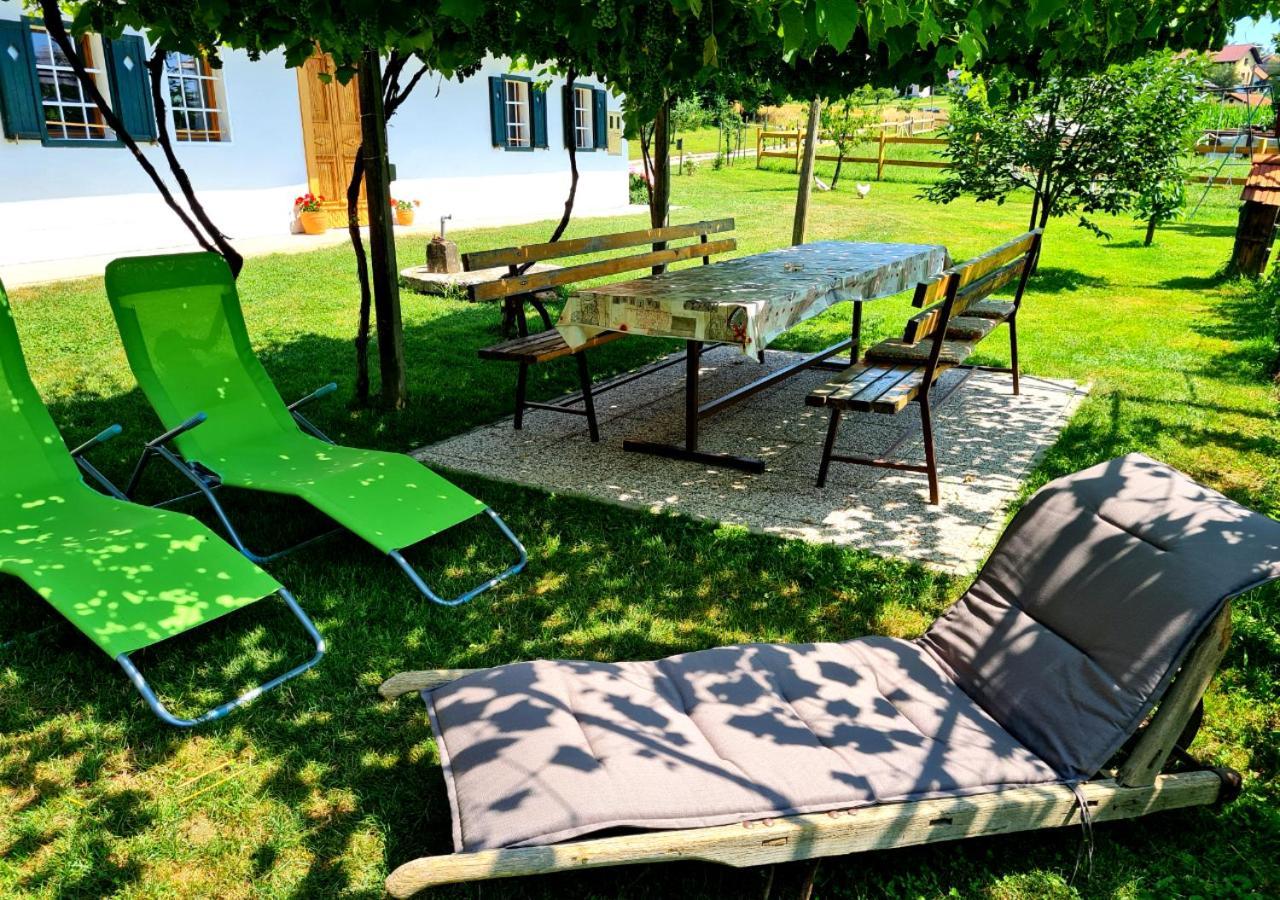 Villa Turisticna Kmetija Hisa Ob Gozdu Pri Ptuju Extérieur photo