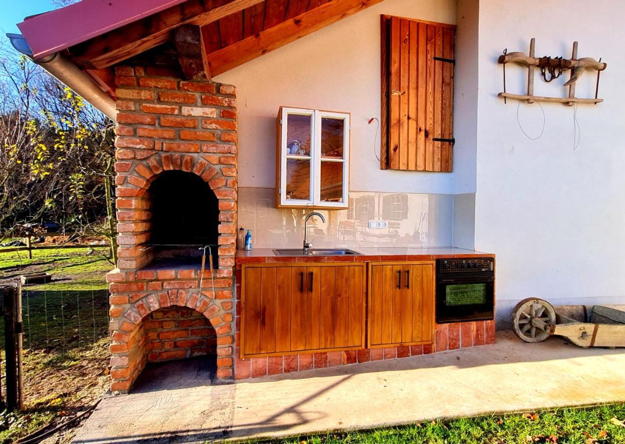 Villa Turisticna Kmetija Hisa Ob Gozdu Pri Ptuju Extérieur photo